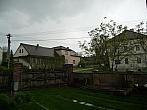 Třibřichy